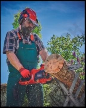 Einhell Gc-Ec 2040 Elektrikli Ağaç Kesme